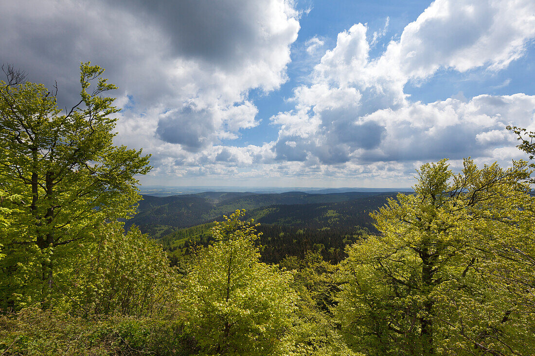 Blick vom Großen Inselsberg auf die Bergrücken des Thüringer Waldes, Thüringen, Deutschland