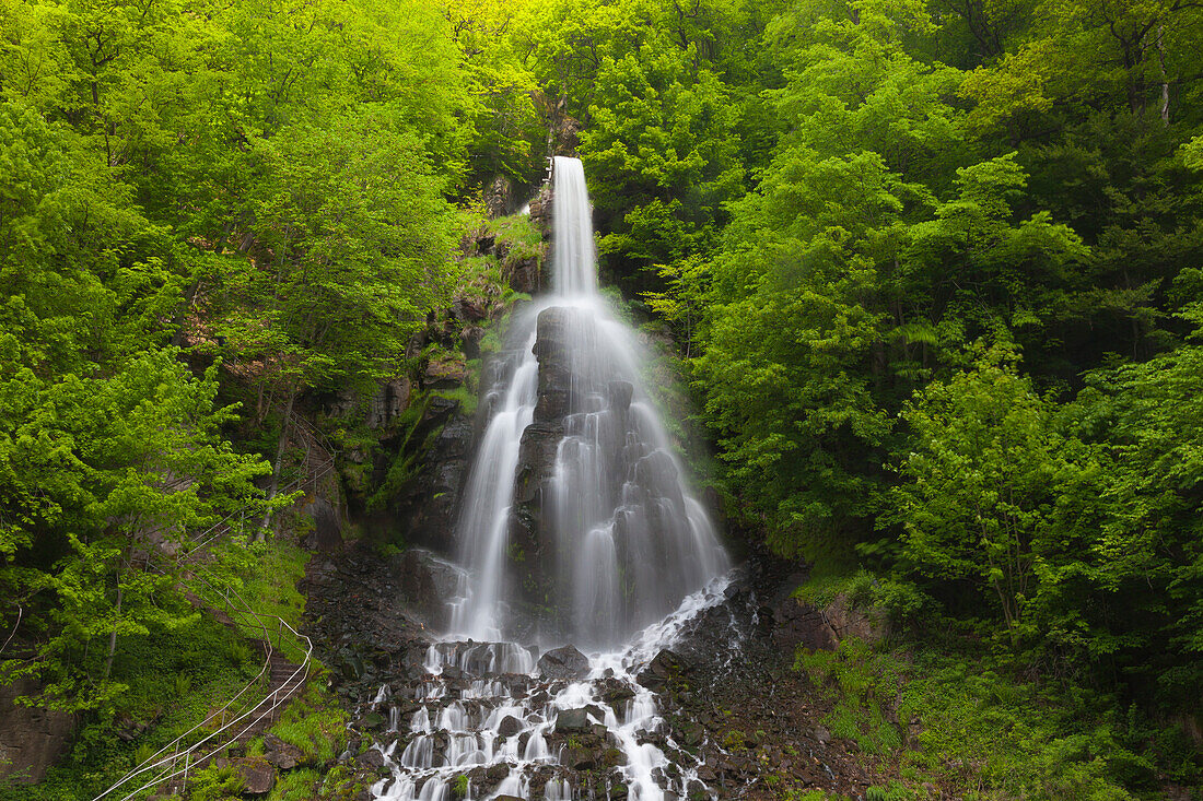 Trusetal waterfall, Thuringia Forest, Thuringia, Germany