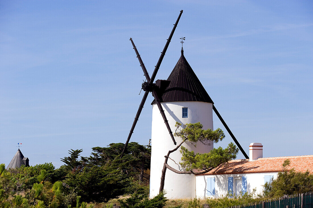 Frankreich, Vendée, Ile de Noirmoutier, La Gueriniere, die Mühle von la Bosse Strand