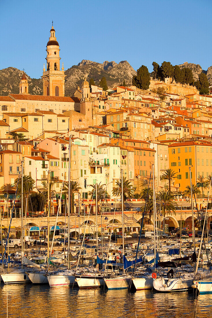 Frankreich, Alpes Maritimes, Menton, Basilique Saint Michel (St. Michael Basilika) und der Hafen