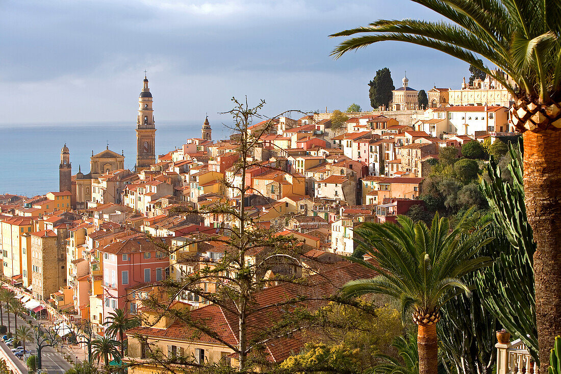 Frankreich, Alpes Maritimes, Menton, Basilique Saint Michel (St. Michael Basilika) in der Altstadt