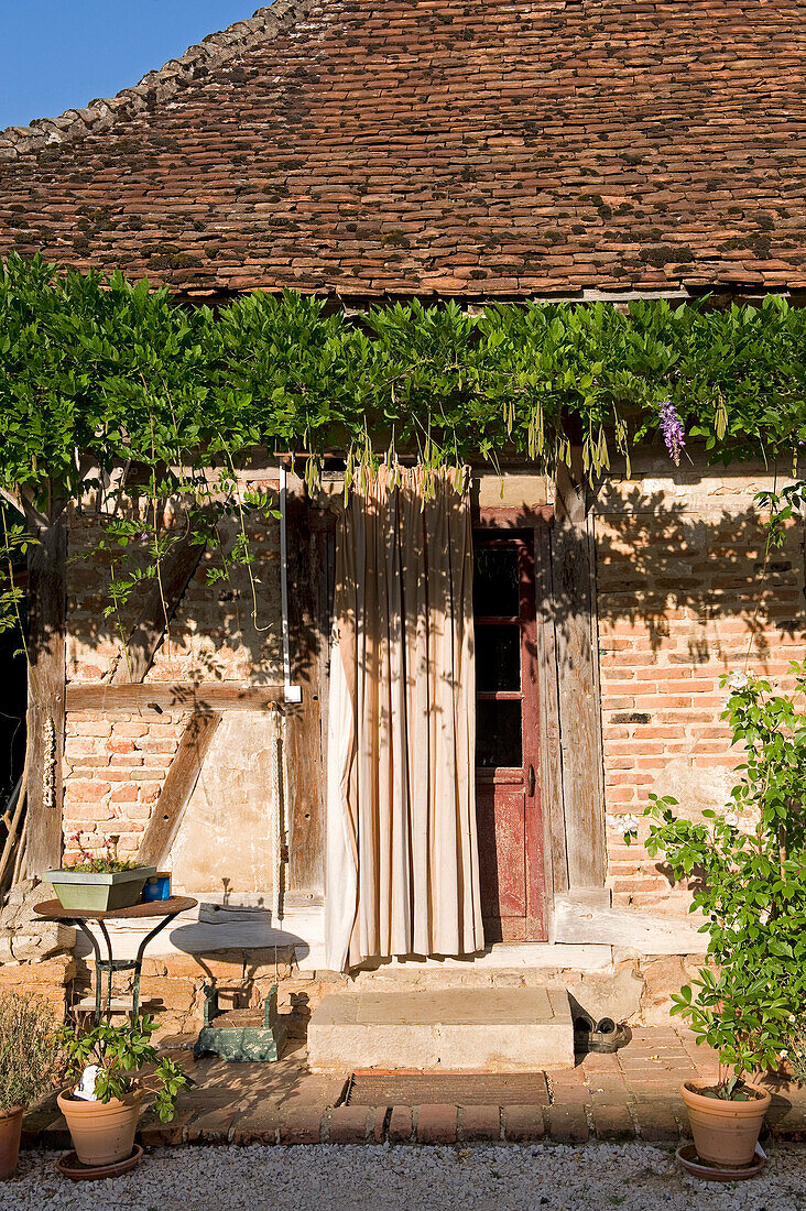 France, Saone et Loire, Bruailles, bed and breakfasts La Ferme de Marie Eugenie, traditional farm Bressane