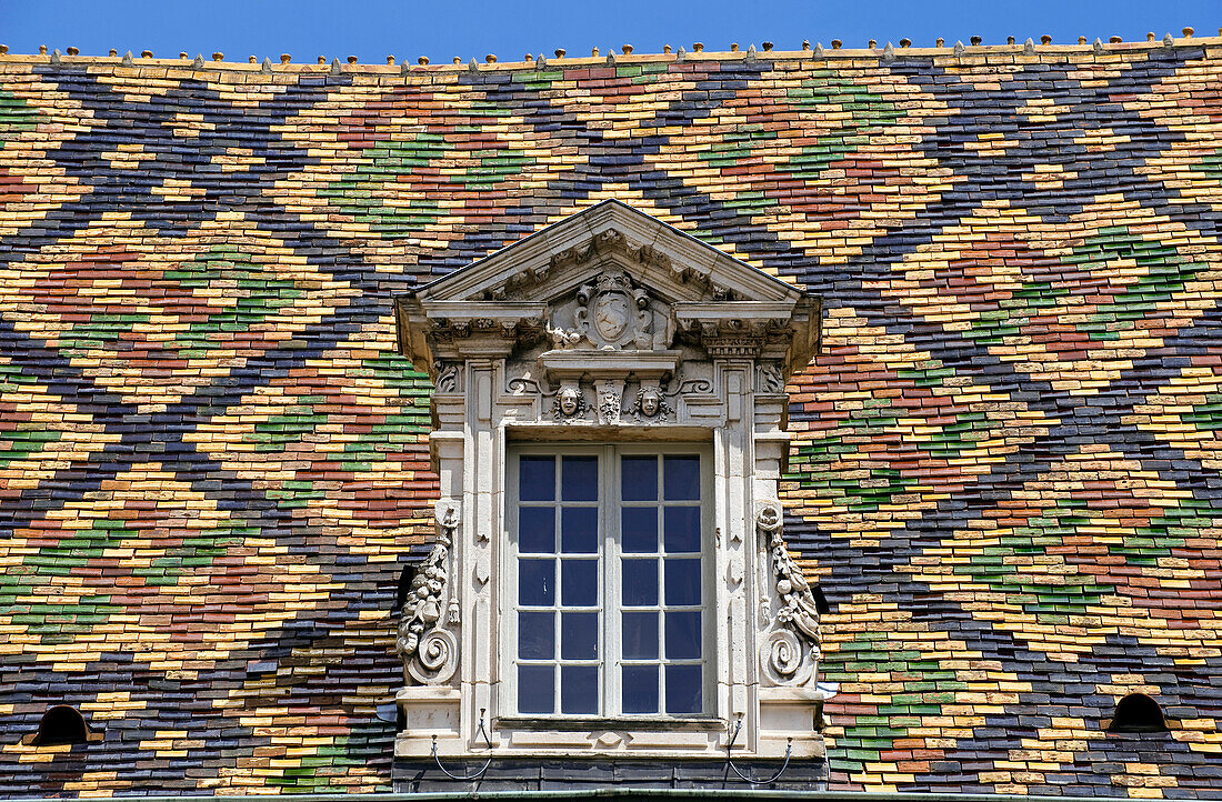 France, Cote d'Or, Dijon, glazed tile roof of the les Halles