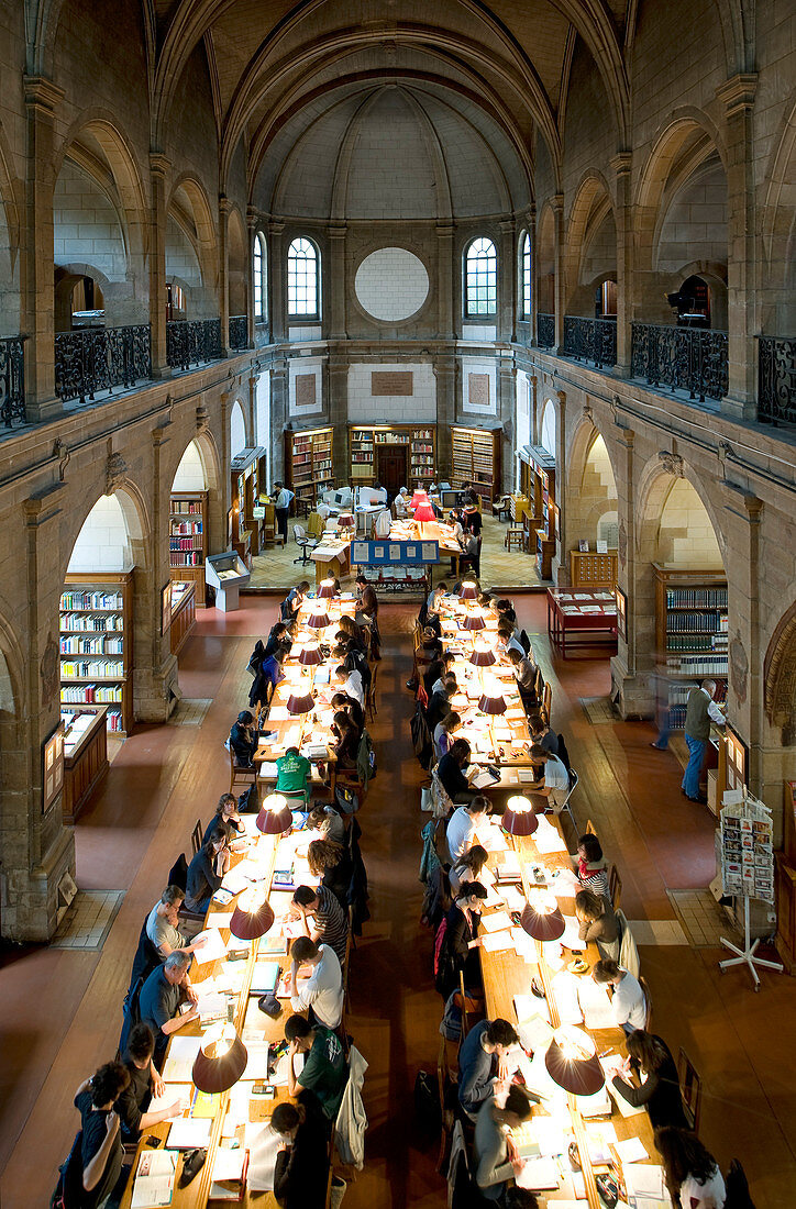 Frankreich, Côte d'Or, Dijon, Bibliothek, Leseraum in der alten Kapelle des College of Godrans
