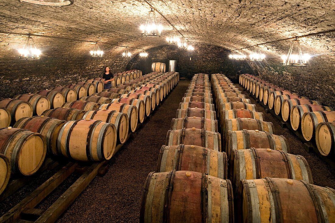 Frankreich, Côte d'Or, Kulturlandschaft von Burgund Klimas als Weltkulturerbe der UNESCO, Gevrey Chambertin, Höhle Domain Drouhin Laroza