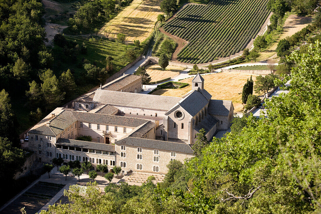 France, Vaucluse, Cistercian abbey of Senanque, 12th century