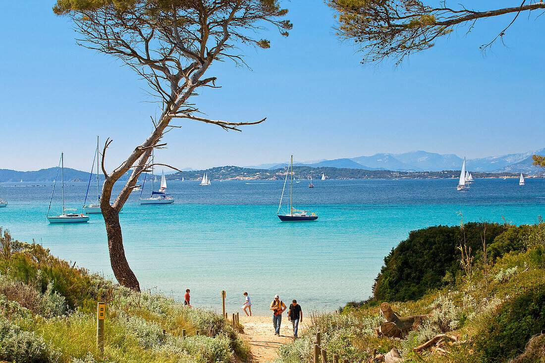 Frankreich, Var, Ile de Porquerolles