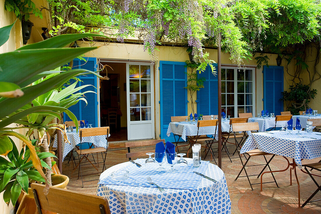 France, Var, Ile de Porquerolles, Porquerolles, Auberge des Glycines