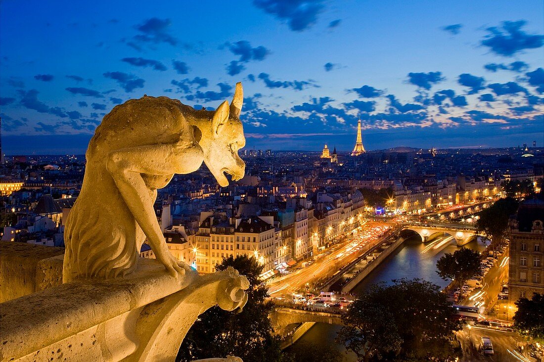 France, Paris, area listed as World Heritage by UNESCO, view over the city from Notre Dame Cathedral