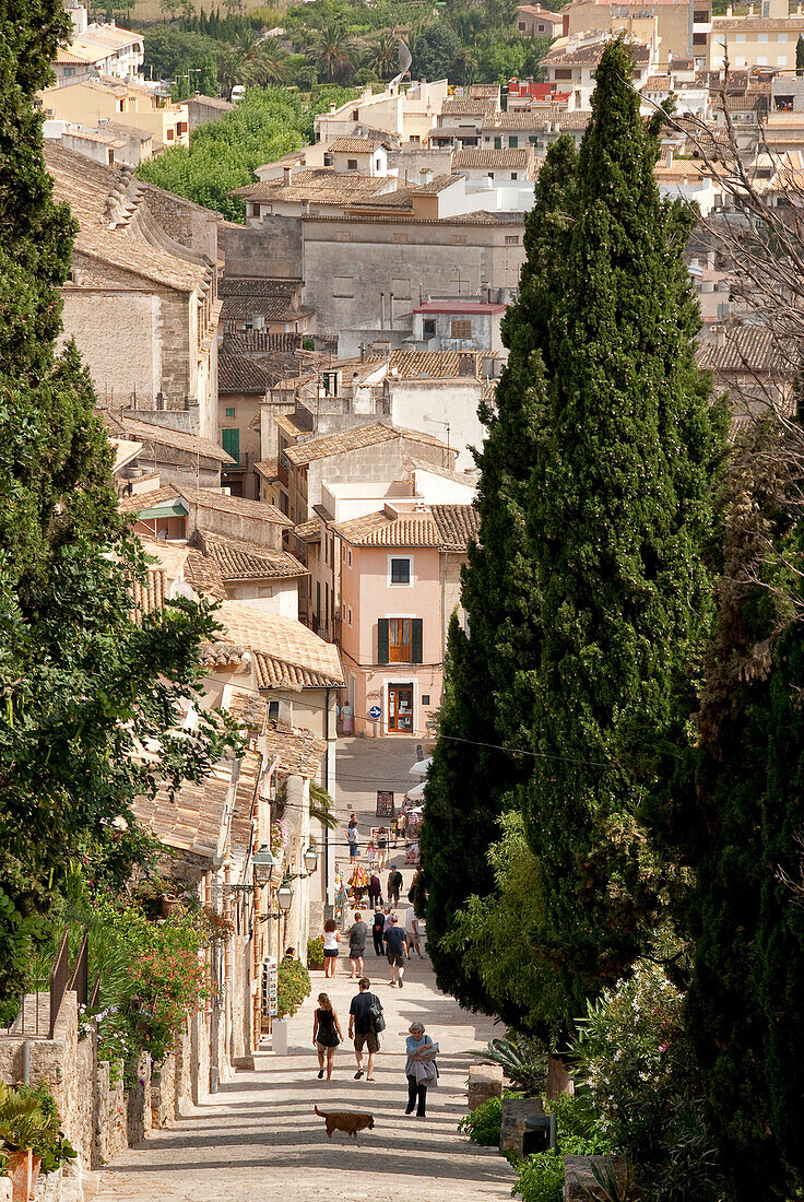 Spain, Balearic Islands, Majorca, Pollenca