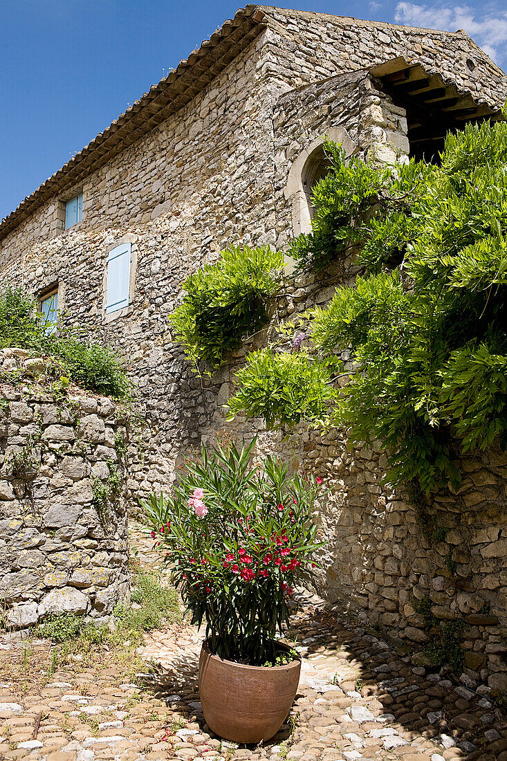 France, Gard, La Roque sur Ceze, labelled Les Plus Beaux Villages de France (The Most Beautiful Villages of France), stone house