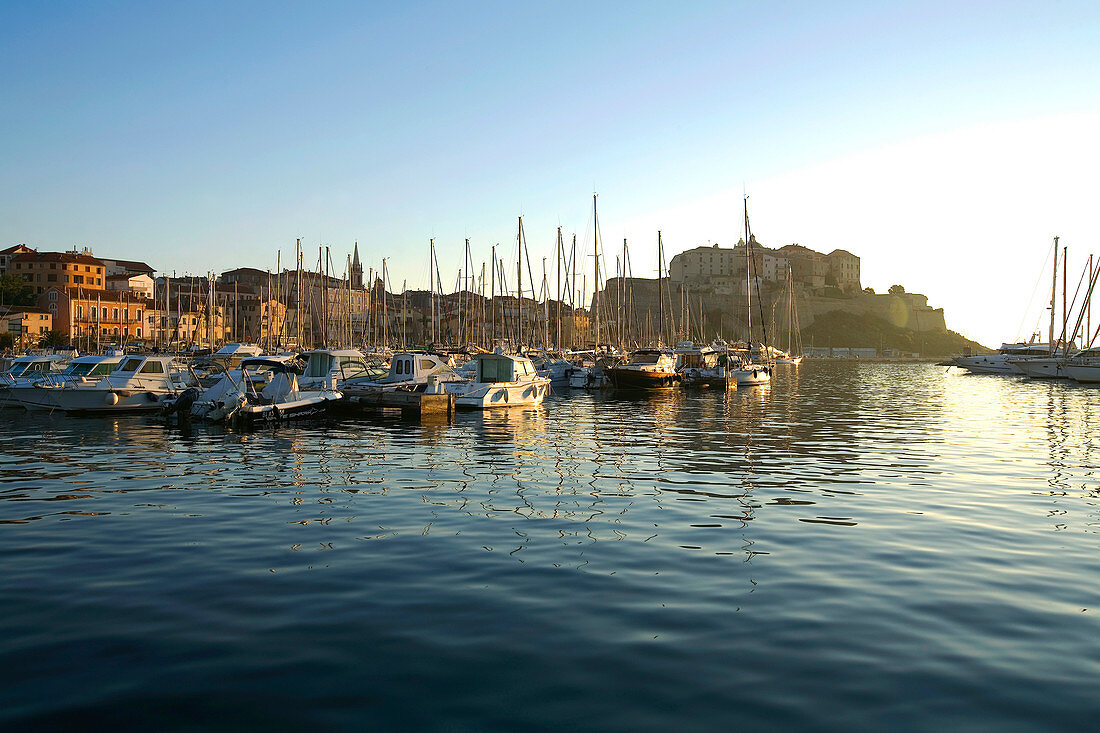 Frankreich, Haute Corse, Calvi, der Hafen und die Zitadelle