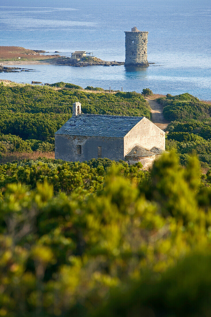 France, Haute Corse, Cap Corse, near Macinaggio, Tower and Santa Maria Chapel