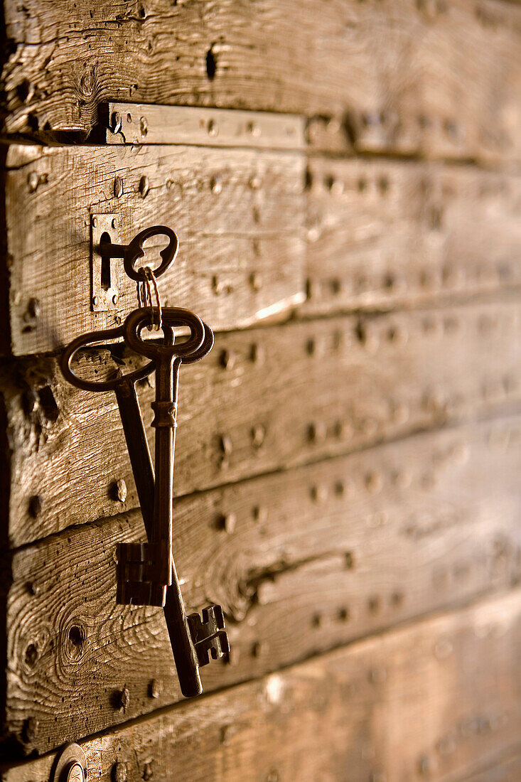 France, Var, Lorgues, door of St Jaume Chapel