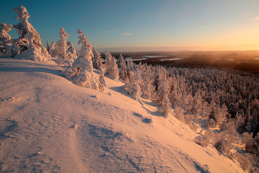 Finnland, Lappland Provinz, Kuusamo, Ruka Järvi, Sonnenaufgang über dem Taiga