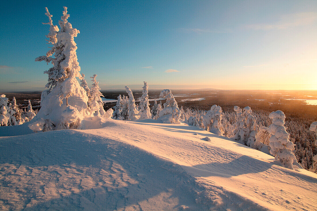 Finnland, Lappland Provinz, Kuusamo, Ruka Järvi, Sonnenaufgang über dem Taiga
