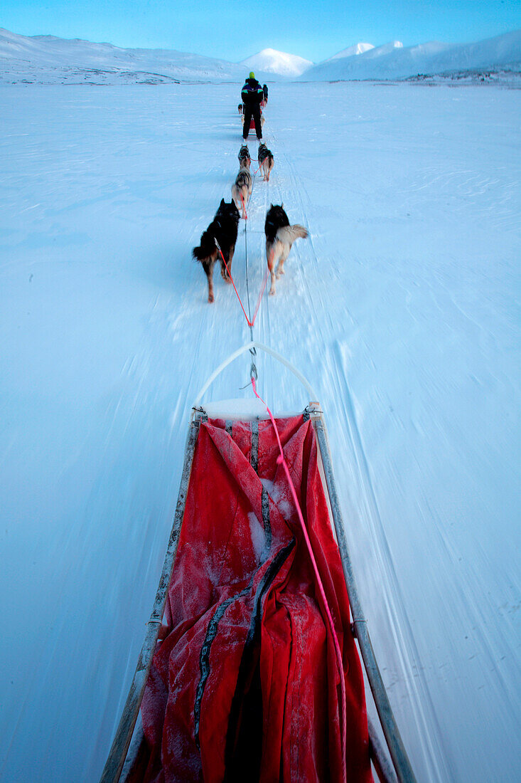 Sweden, County of Norrbotten, Lapland, Alesjaur, hiking trail of Kungsleden, sled dog tour