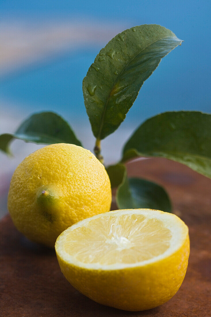 France, Alpes Maritimes, Menton, Menton lemons