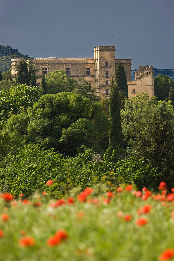 France, Vaucluse, Luberon, Lourmarin, labelled Les Plus Beaux Villages de France (The Most Beautiful Villages of France), the 15th and 16th centuries castle