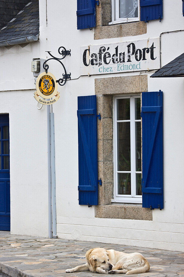 France, Finistere, Brignogan, facade of Cafe du Port and dog