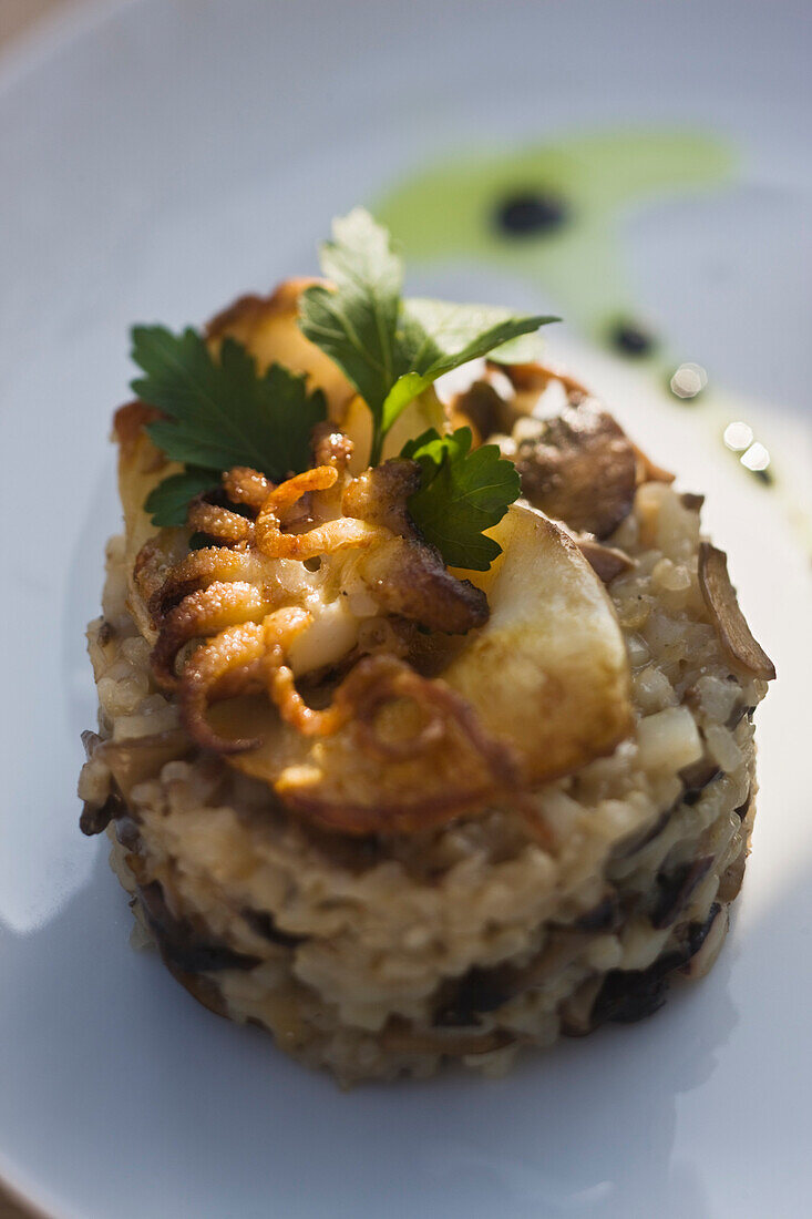 France, Gironde, Bassin d'Arcachon, Le Cap Ferret, Cote Sable Hotel, risotto with suids and mushrooms