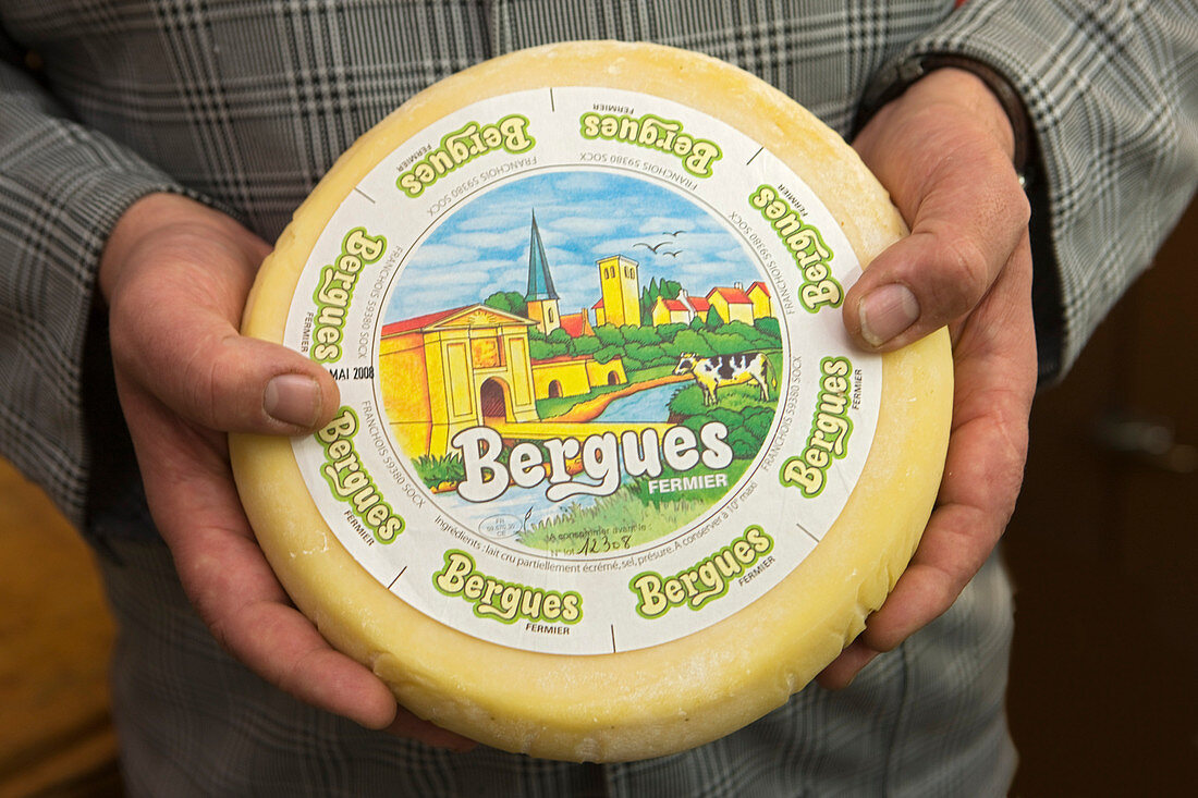 France, Nord, Bergues Cheese