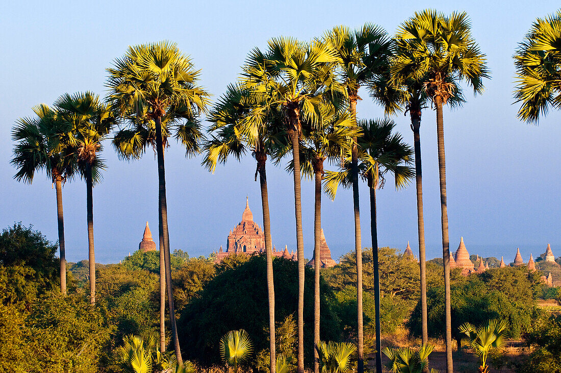 Myanmar (Birma), Mandalay, Bagan (Heide), Old Bagan, archäologische Stätte mit Hunderten von Pagoden und zwischen dem 10. und 13. Jahrhundert (Luftbild) gebaut Stupas