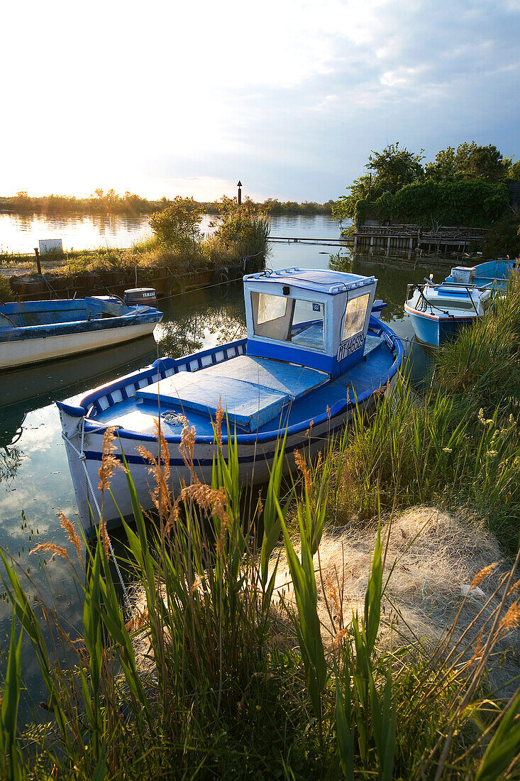 France, Bouches du Rhone, Camargue, Petit Rhone River near Saintes Maries de la Mer