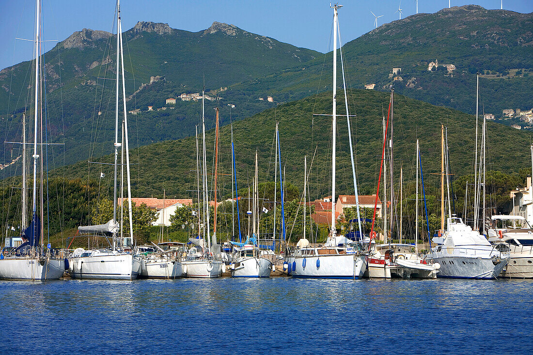 France, Haute Corse, Cap Corse, Macinaggio, the harbour