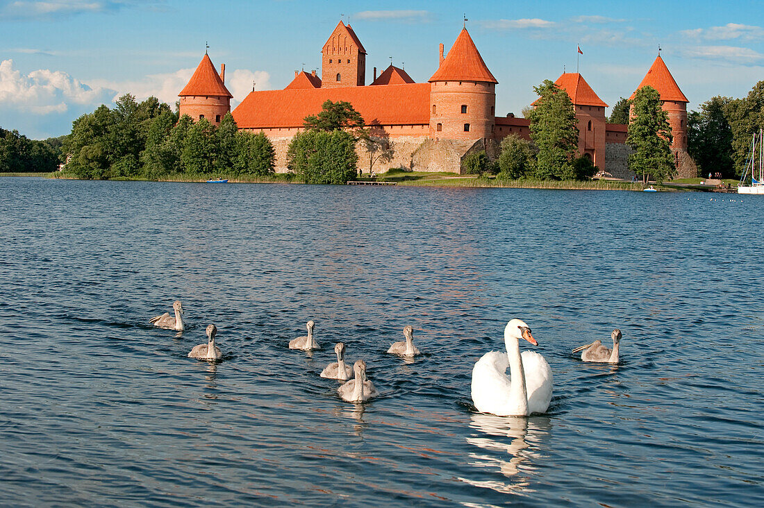Litauen (Baltikum), Vilnius County, Trakai Historical National Park, das Schloss von Trakai Island (Salos Pilis)
