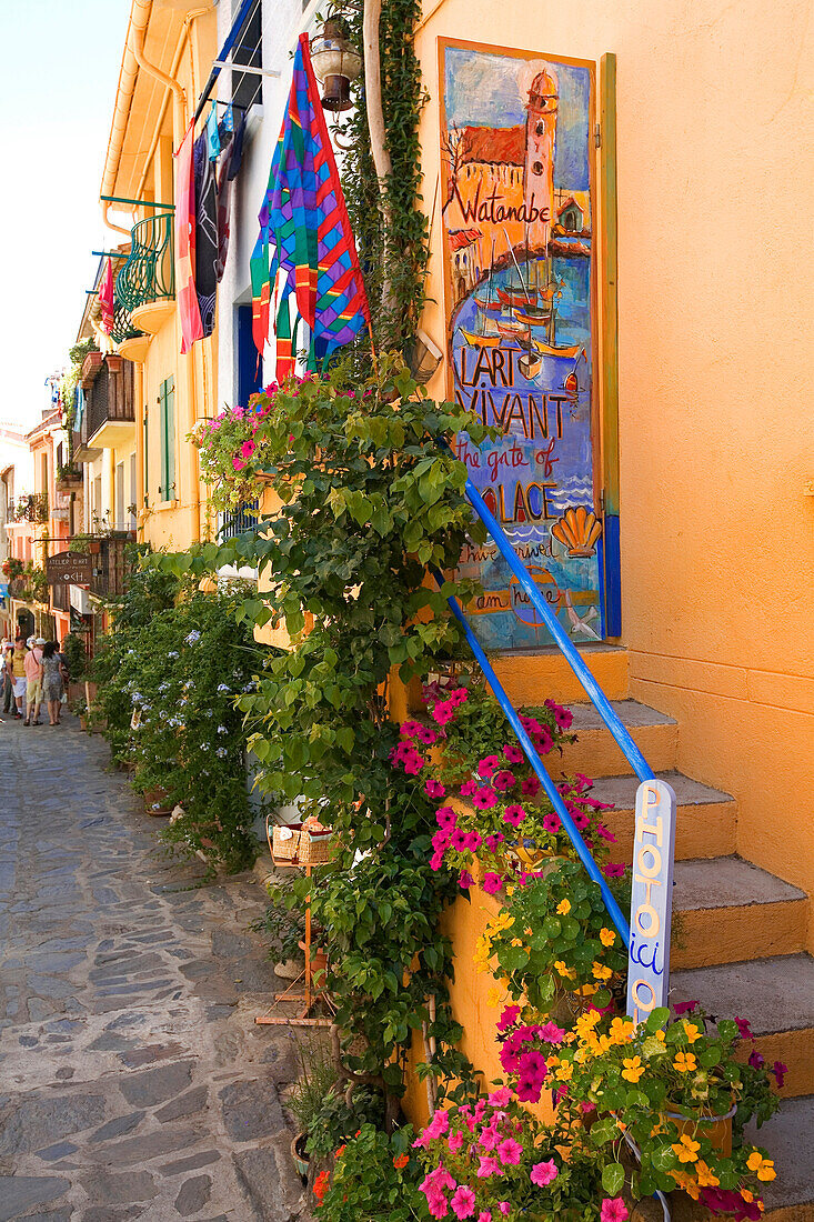 France, Pyrennees Orientales, Collioure, Rue de la Fraternite (Rue des Artistes)