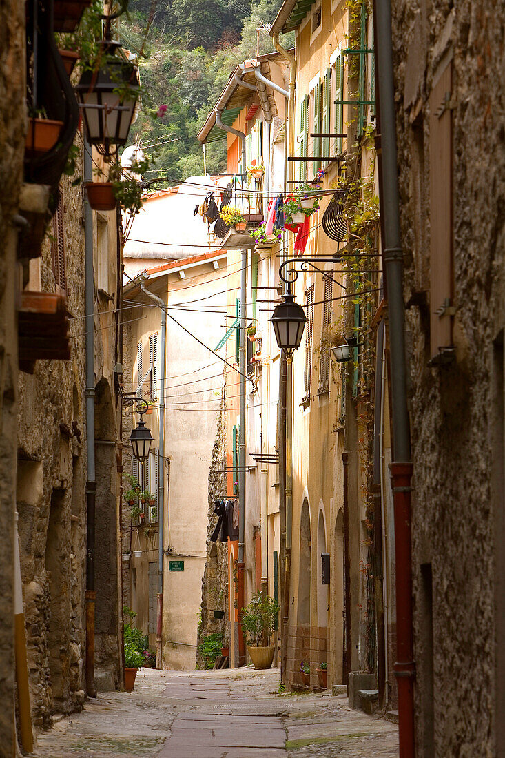 Frankreich, Alpes Maritimes, Roya-Tal, Breil sur Roya, schmale Straße