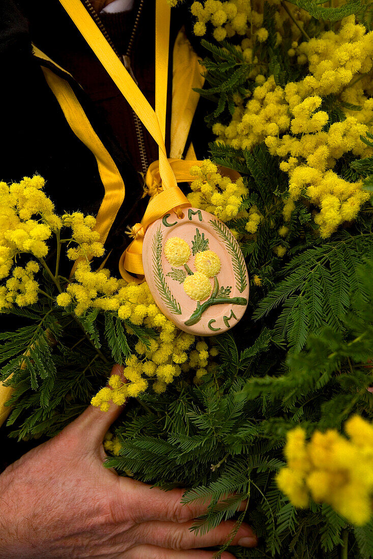 France, Alpes Maritimes, Mandelieu la Napoule, Mimosa Festival, detail pendent