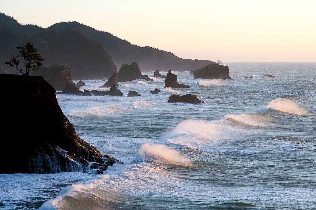 United States, Oregon, Brookings, Pacific Coast in sunset