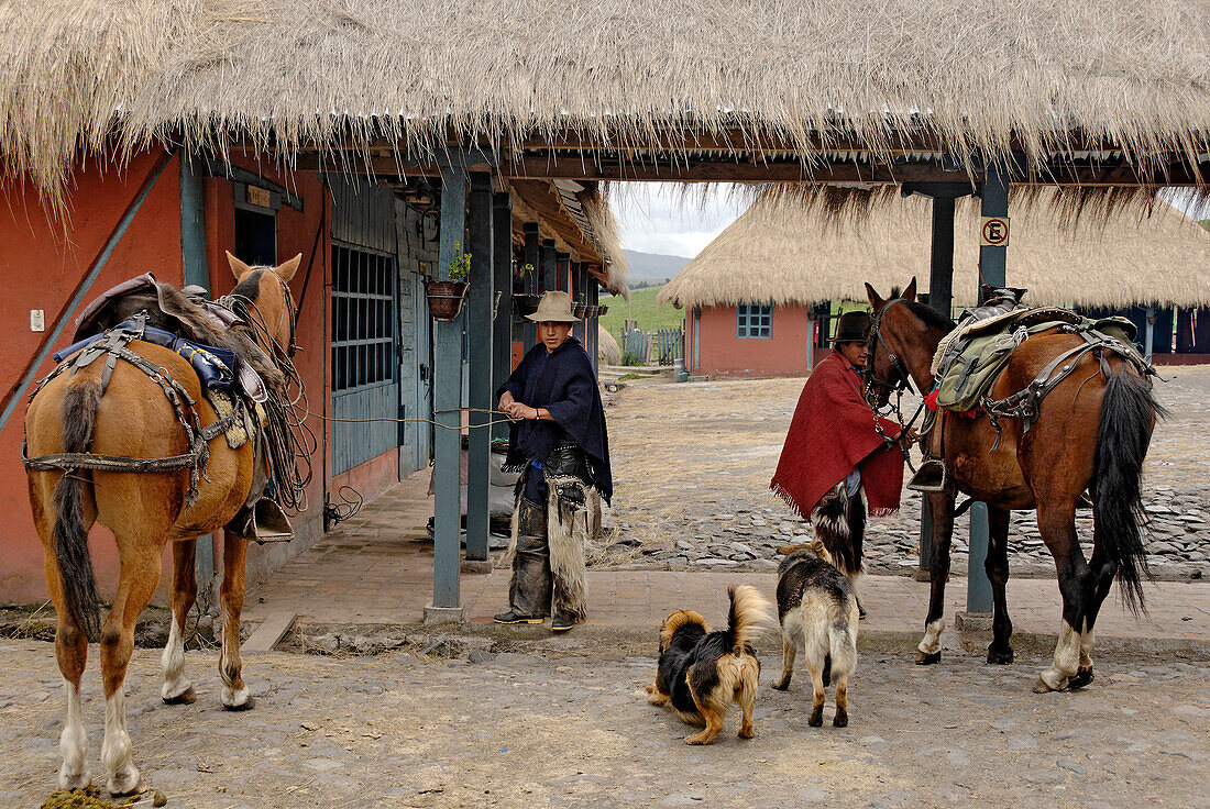 Ecuador, in der Provinz de Cotopaxi, Anden, Cotopaxi Nationalpark, Hacienda El Porvenir, schlägt die Farm Pferd reitet ein paar Tage mit Chagras als Führer dauerhafte