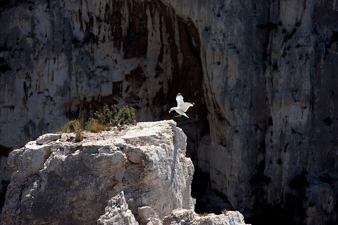 France, Bouches du Rhone, Calanques National Park, Marseille, Calanque d'En Vau