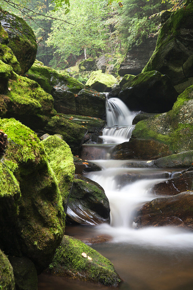 Flume, Steinklamm, Bavarian Forest nature park, Lower Bavaria, Bavaria, Germany