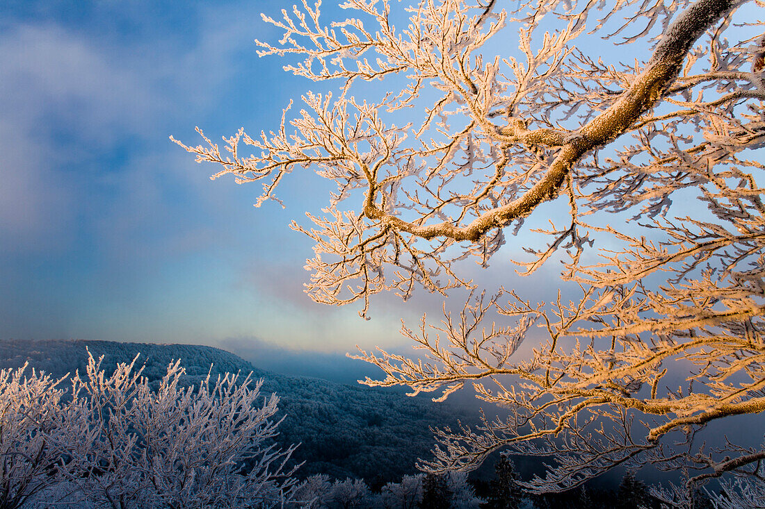 At Hoher Meissner, Meissner - Kaufunger Wald nature park, North Hesse, Hesse, Germany