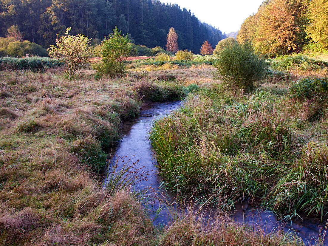 Hafenlohrtal im Herbst, Naturpark Bayerischer Spessart, Unterfranken, Bayern, Deutschland