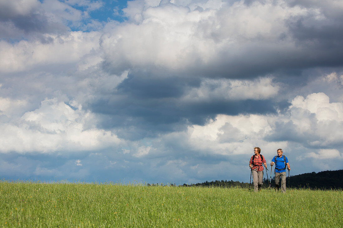 Paar mit Nordic Walking Stöcken wandert entlang Wiese vor Himmel mit Wolken, Steinau an der Straße, Spessart-Mainland, Hessen, Deutschland