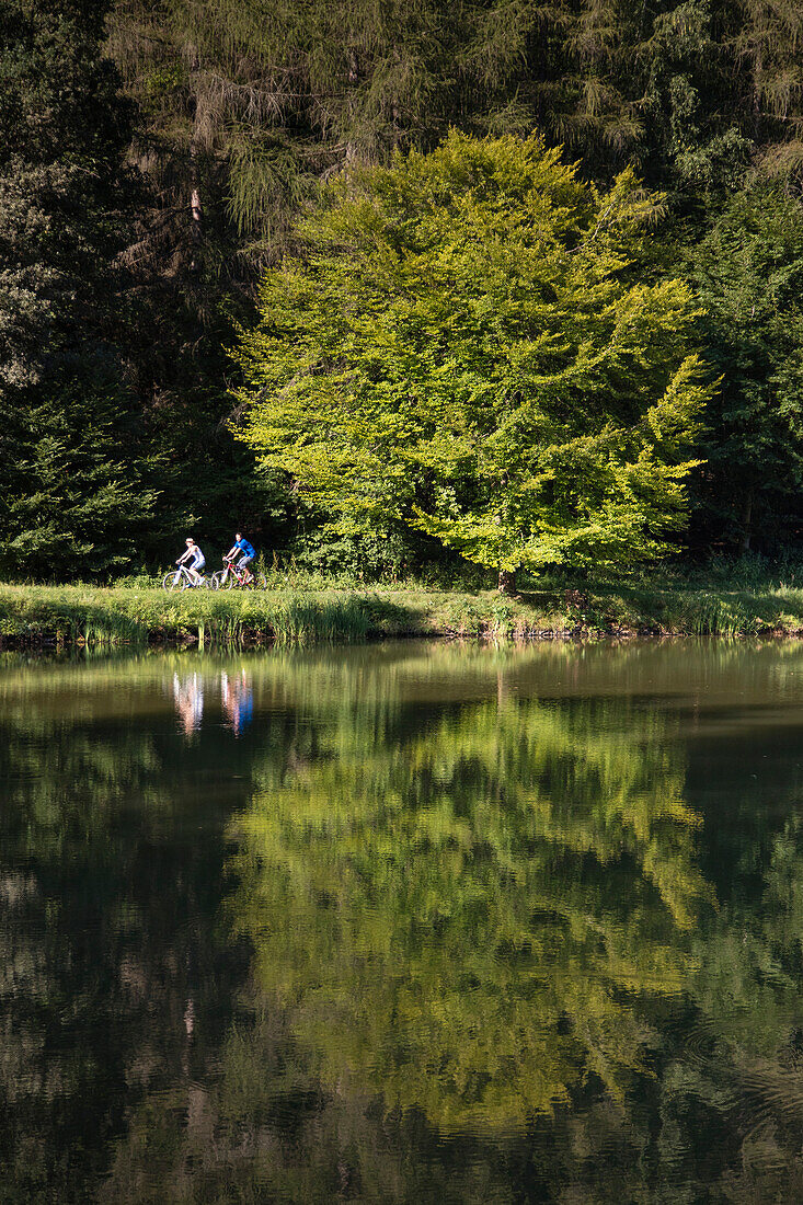 Frau und Mann auf Fahrrädern radeln auf Weg entlang der Aubachseen, Habichsthal, Spessart-Mainland, Bayern, Deutschland