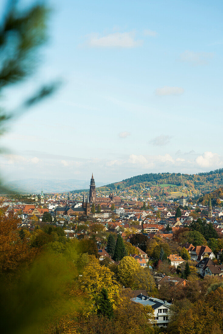 Panorama, Herbst, Freiburg im Breisgau, Schwarzwald, Baden-Württemberg, Deutschland