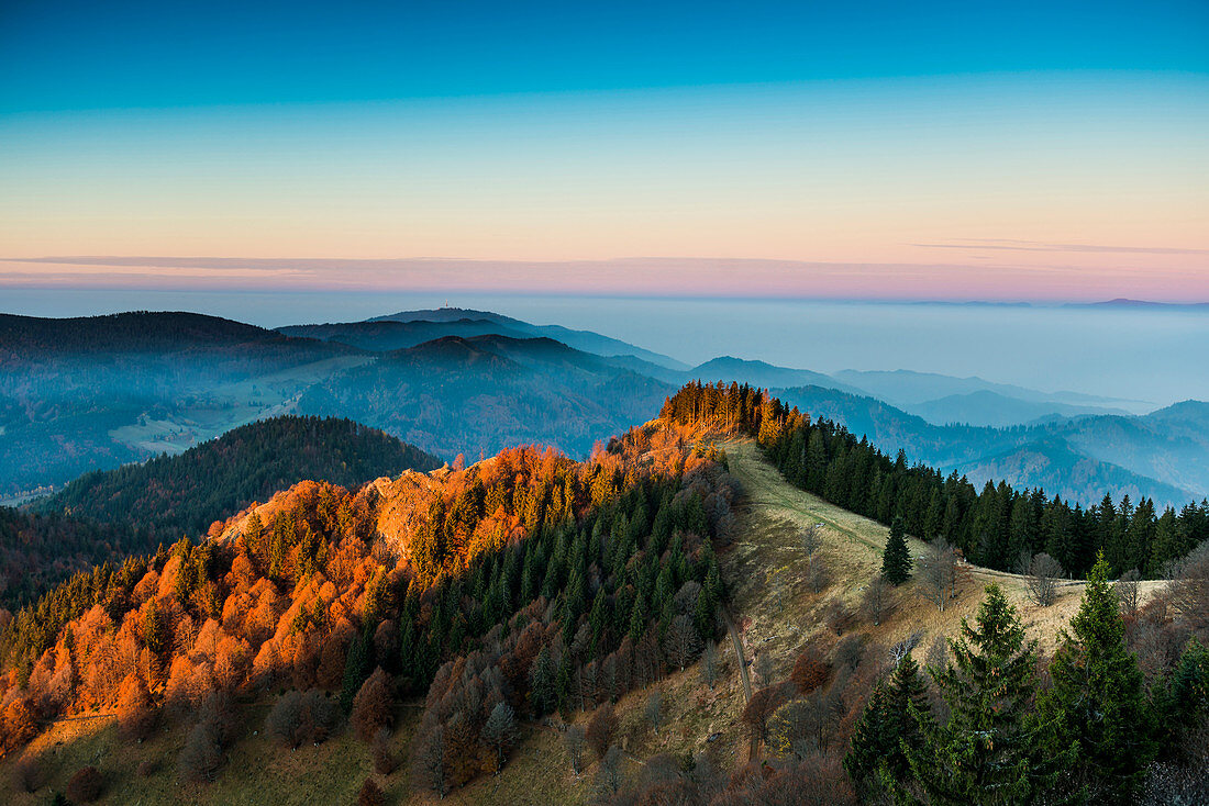 View from the Belchen west on the Rhine valley, sunrise, autumn, Black Forest, Baden-Wuerttemberg, Germany