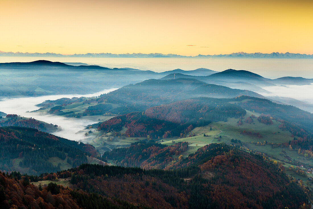 Ausblick vom Belchen Richtung Süden ins Wiesental und auf die Schweizer Alpen, Morgenstimmung mit Nebel, Herbst, Schwarzwald, Baden-Württemberg, Deutschland