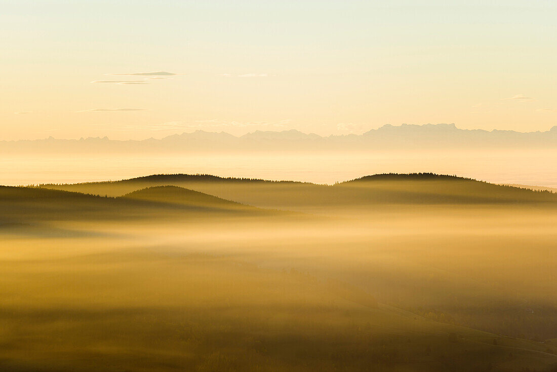 View from the Belchen south on the Wiesental valley and the Swiss Alps, morning atmosphere with fog, autumn, Black Forest, Baden-Wuerttemberg, Germany