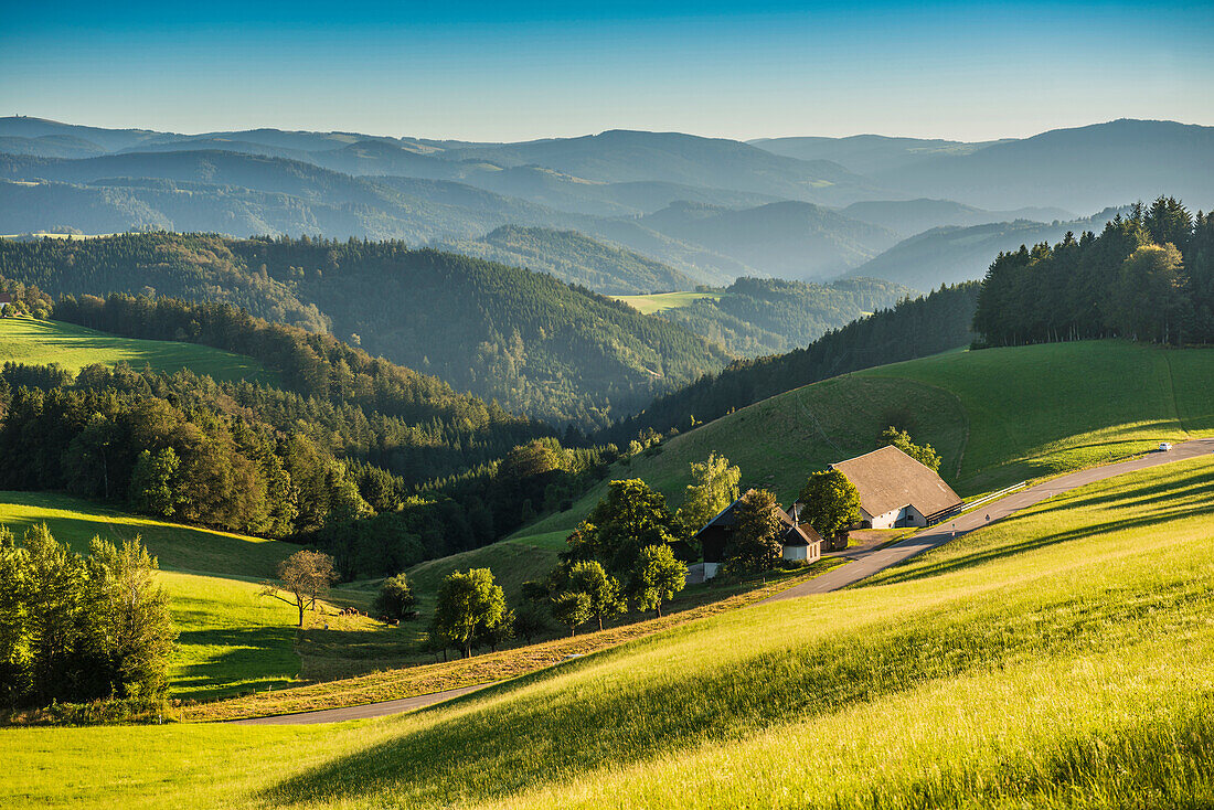 Panorama, St Märgen, Schwarzwald, Baden-Württemberg, Deutschland