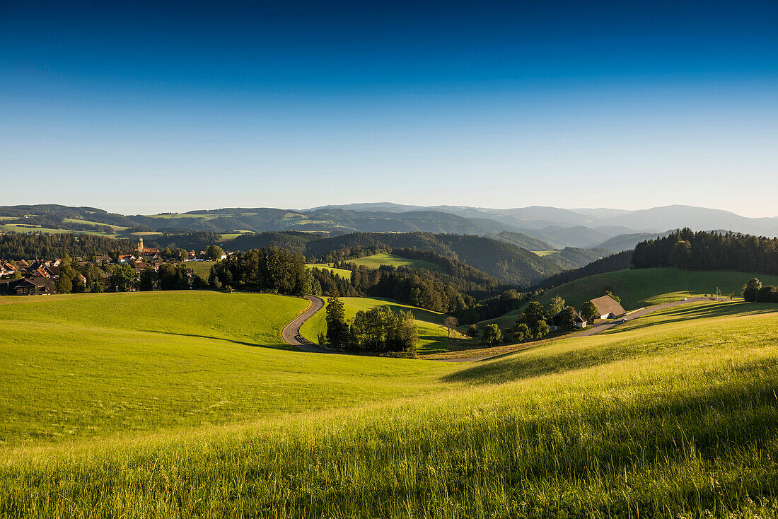Panorama, St Märgen, Schwarzwald, Baden-Württemberg, Deutschland