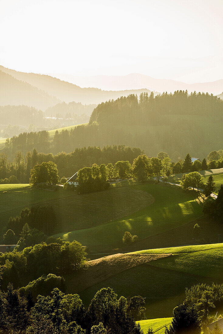 panoramic view, St Peter, Black Forest, Baden-Wuerttemberg, Germany