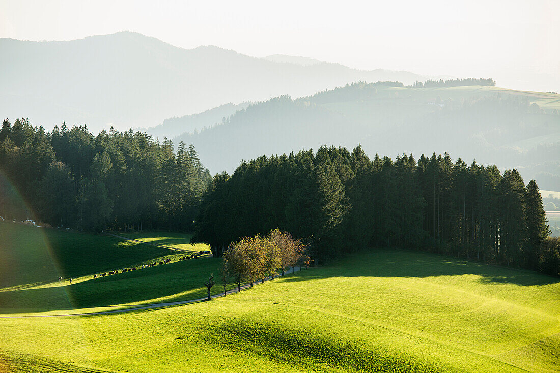 Panorama, St Peter, Schwarzwald, Baden-Württemberg, Deutschland