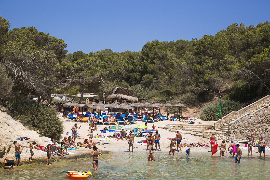 Menschen relaxen und baden am Strand der Bucht Cala Portals Vells, Portals Vells, Mallorca, Balearen, Spanien